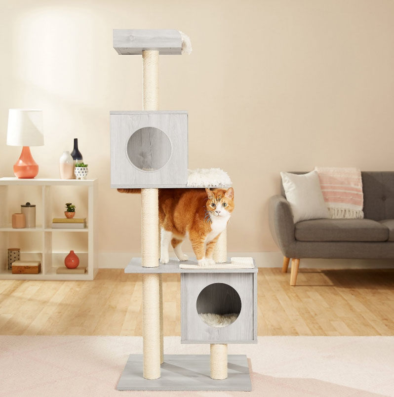 Frisco in Modern Cat Tree & Condo — view 1